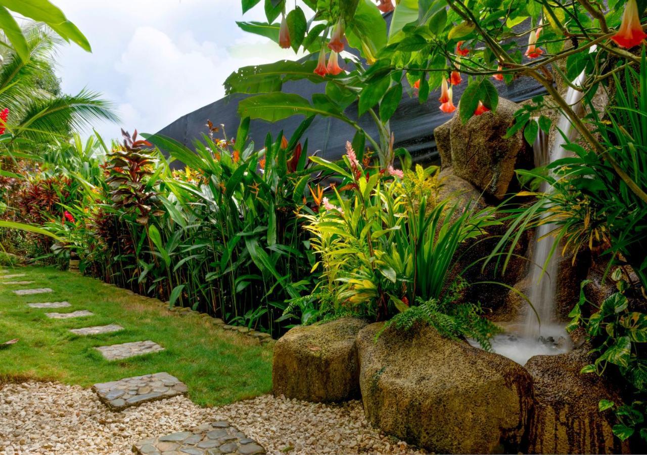 Villas Oasis Manuel Antonio Εξωτερικό φωτογραφία